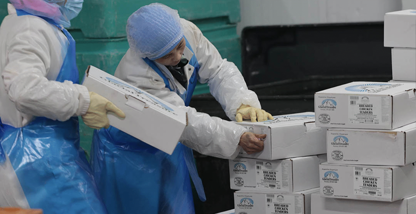 Employees Working with Boxes