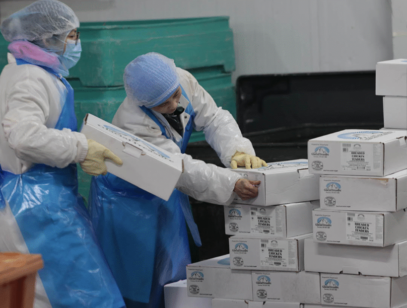 Employees Working with Boxes